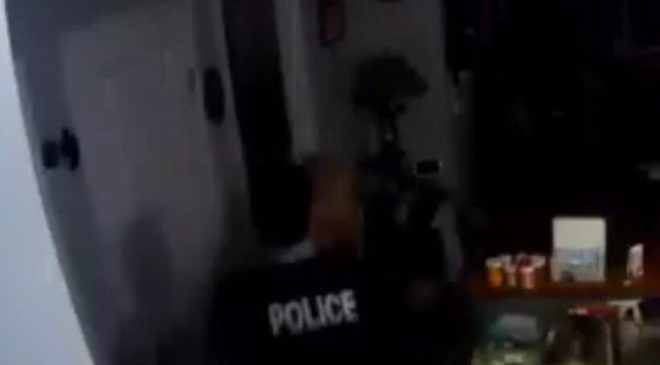 ilana altman arrest